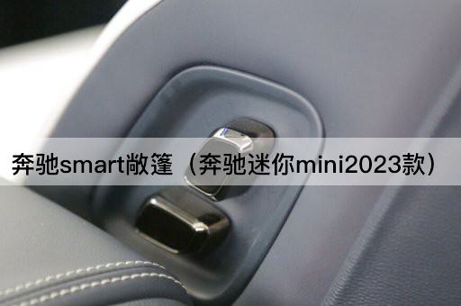 奔驰art敞篷（2023款迷你奔驰）