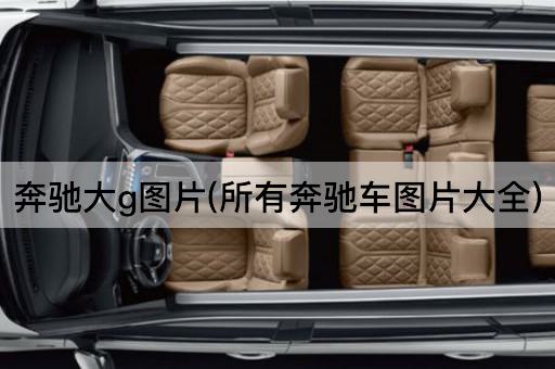 奔驰大g*(所有奔驰车*大全)
