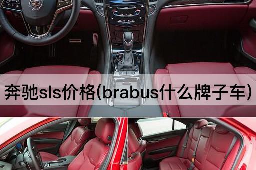 奔驰sls价格(brabus什么牌子车)