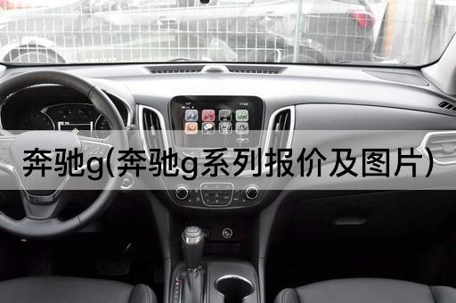 奔驰g(奔驰g系列报价及图片)
