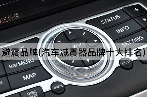 避震品牌(汽车减震器品牌十大排名)