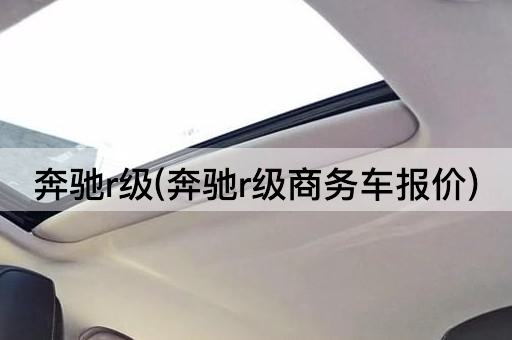 奔驰r级(奔驰r级商务车报价)