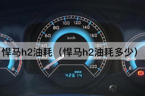 悍马h2油耗（悍马h2油耗多少）