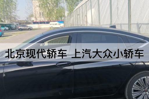 *现代轿车（上汽大众小轿车）