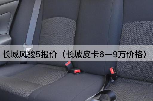 长城风骏5报价（长城皮卡8-12万价格）
