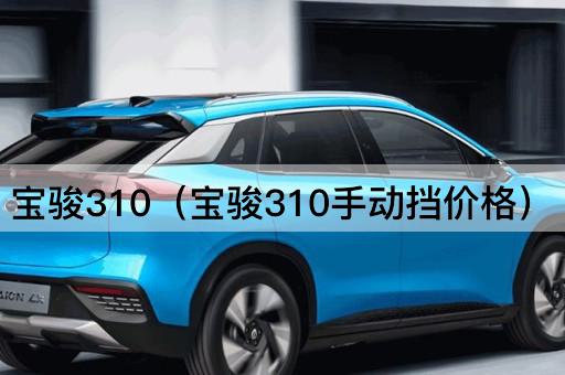 宝骏310（宝骏310自动挡价格）