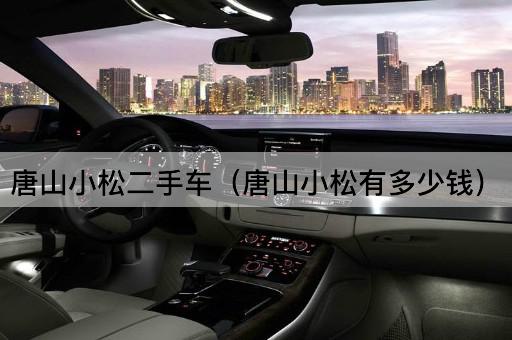 唐山小松二手车（唐山小松价格查询）