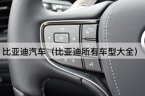 比亚迪汽车（比亚迪全系车型概览）