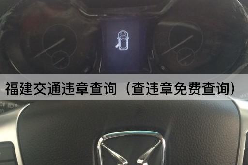 福建交通违章查询（查违规记录）