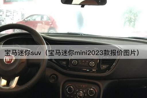 宝马迷你SUV（宝马迷你MINI2024款报价）