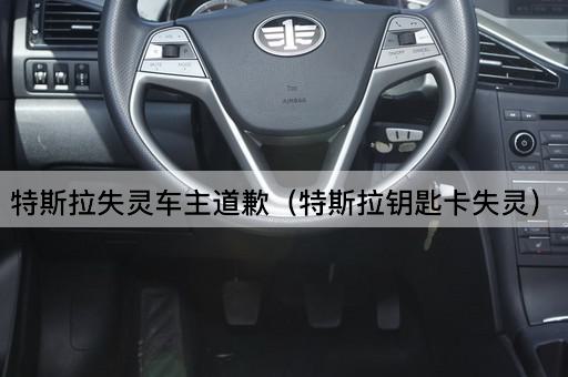 特斯拉失灵车主道歉（特斯拉智能钥匙故障）