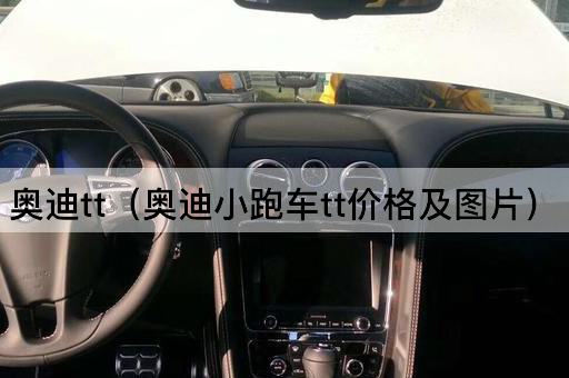 奥迪TT（奥迪小跑车TT性能及）