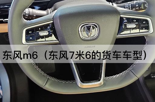 东风M6（东风7.6米货车车型）