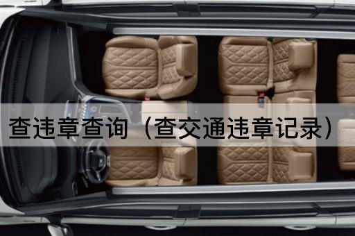 查违章查询（查询交通违规记录）