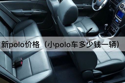 新Polo售价（小Polo车每辆价格）