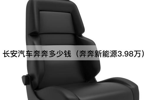 长安汽车奔奔价格揭晓（新能源版仅售3.98万）