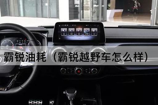 霸锐油耗（霸锐SUV性能评测）