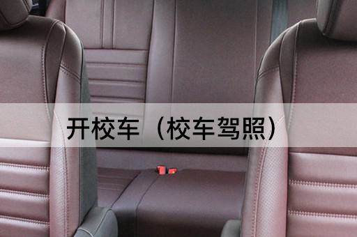 开校车（专业校车驾驶资格）