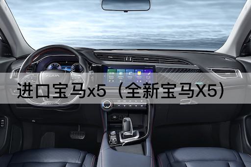 全新宝马X5：进口豪华SUV新选择
