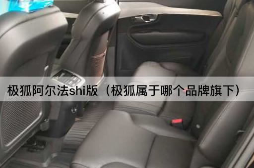 极狐阿尔法shi版（极狐隶属品牌揭秘）