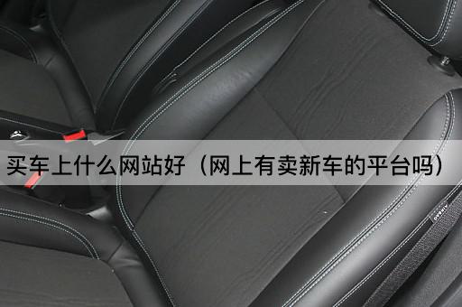买车上什么网站好（网上新车购买平台推荐）
