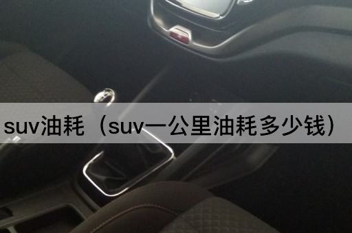 SUV油耗成本解析（SUV每公里油费计算）