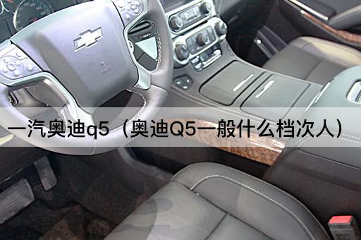 一汽奥迪Q5：适合哪些人群？
