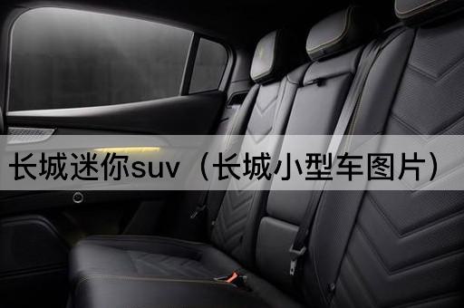 长城迷你suv（长城小型车*）