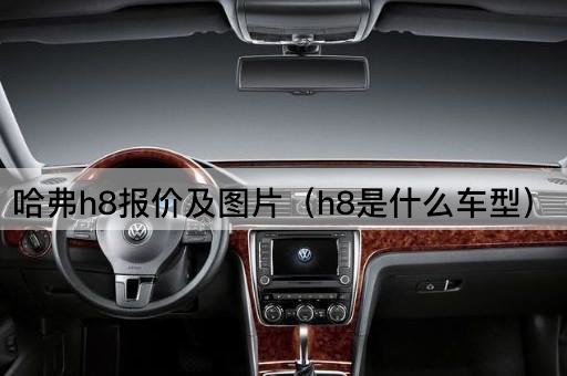 哈弗h8报价及*（h8是什么车型）