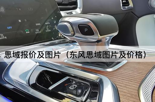 思域报价及*（东风思域*及价格）