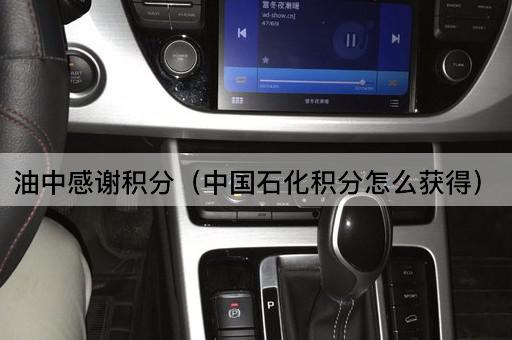 油中感谢积分（*石化积分怎么获得）
