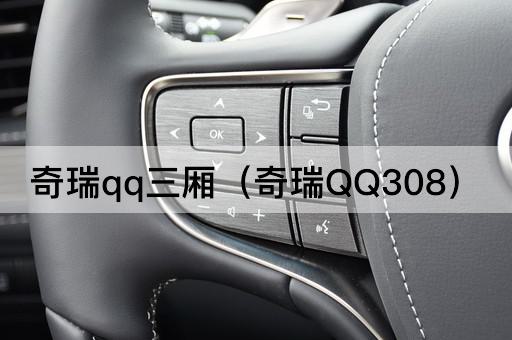 奇瑞qq三厢（奇瑞*308）