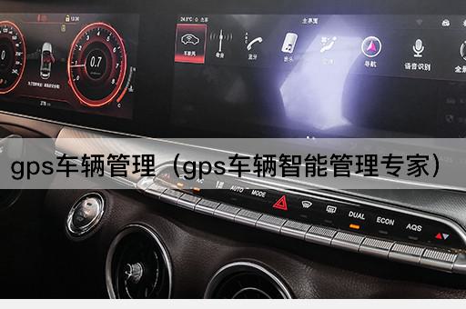 gps车辆管理（gps车辆智能管理专家）