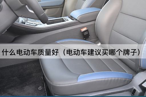 什么电动车质量好（电动车建议买哪个牌子）