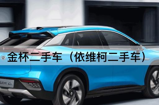 金杯二手车（依维柯二手车）