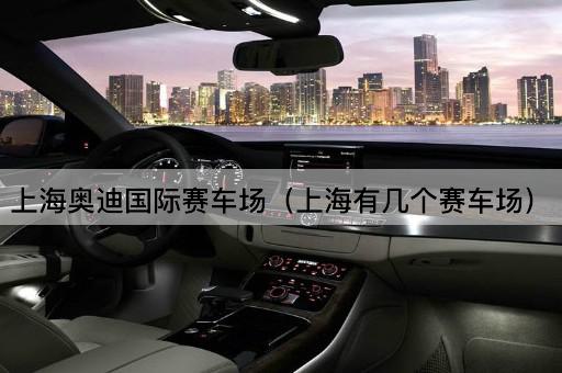 上海奥迪国际赛车场（上海有几个赛车场）