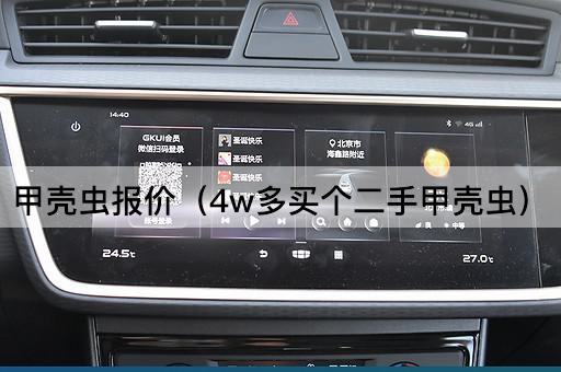 甲壳虫报价（4w多买个二手甲壳虫）