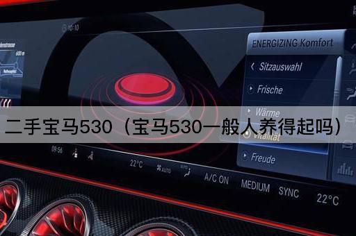 二手宝马530（宝马530一般人养得起吗）