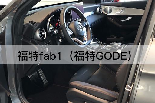 福特*b1（福特GODE）
