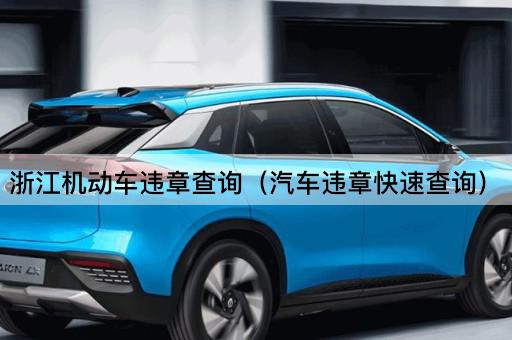 浙江机动车违章查询（汽车违章快速查询）