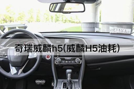 奇瑞威麟h5(威麟H5油耗)