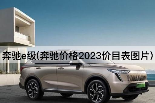 奔驰e级(奔驰价格2023价目表*)