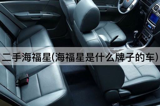 二手海福星(海福星是什么牌子的车)