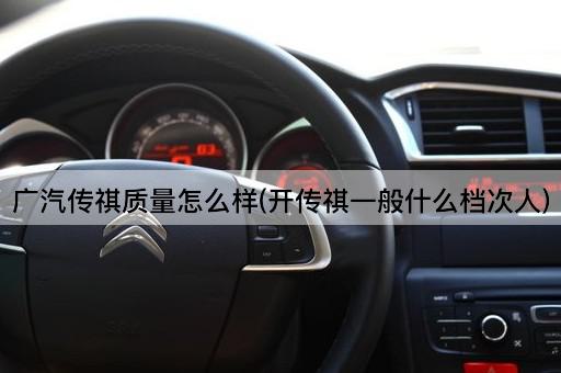 广汽传祺质量怎么样(开传祺一般什么档次人)