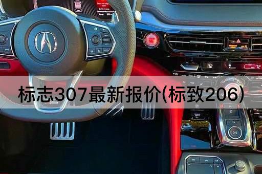 标志307最新报价(标致206)