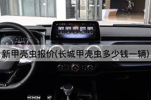 新甲壳虫报价(长城甲壳虫多少钱一辆)
