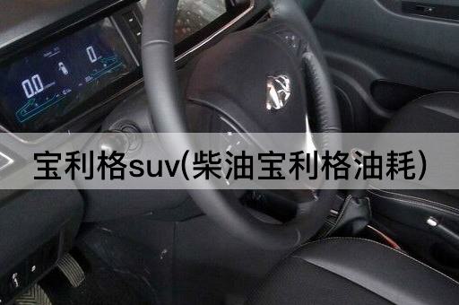 宝利格suv(柴油宝利格油耗)