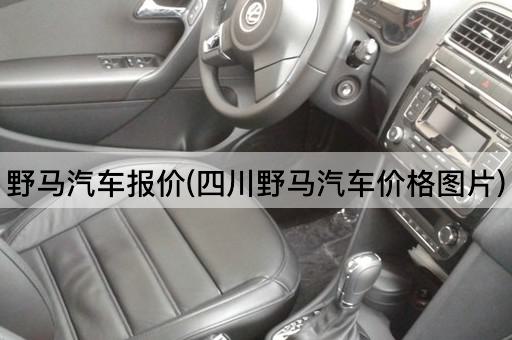 野马汽车报价(四川野马汽车价格*)