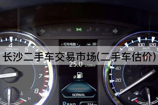 长沙二手车交易市场(二手车估价)
