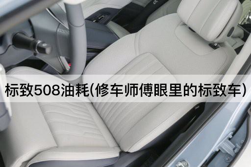 标致508油耗(修车师傅眼里的标致车)